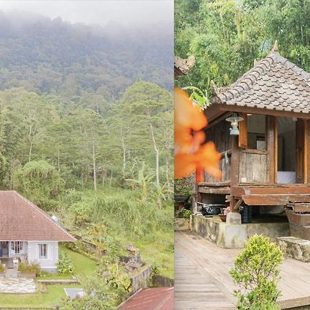 Willa Four Monkeys House Bedugul  Zewnętrze zdjęcie