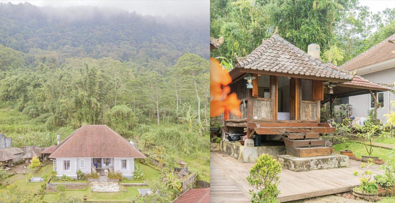 Willa Four Monkeys House Bedugul  Zewnętrze zdjęcie