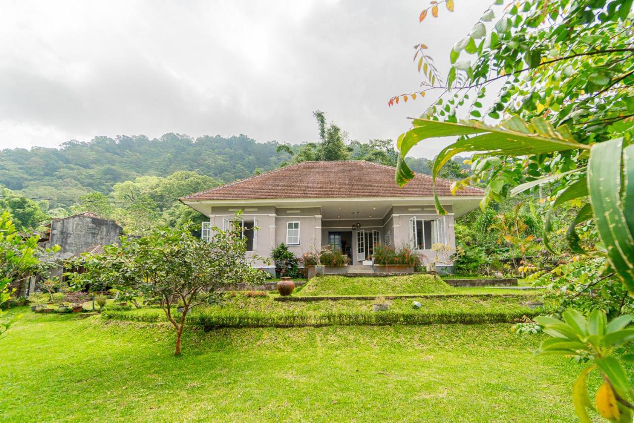 Willa Four Monkeys House Bedugul  Zewnętrze zdjęcie